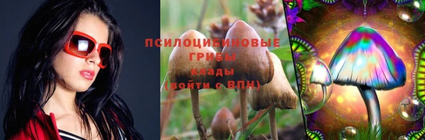 таблы Алексин