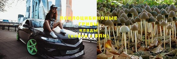 ПСИЛОЦИБИНОВЫЕ ГРИБЫ Алзамай