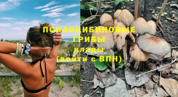ПСИЛОЦИБИНОВЫЕ ГРИБЫ Алзамай