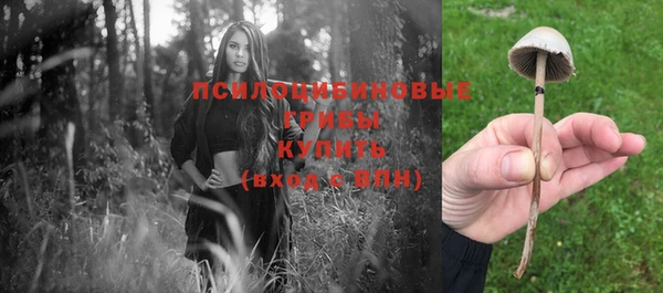 ПСИЛОЦИБИНОВЫЕ ГРИБЫ Алзамай