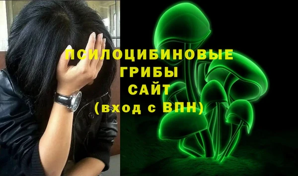 таблы Алексин